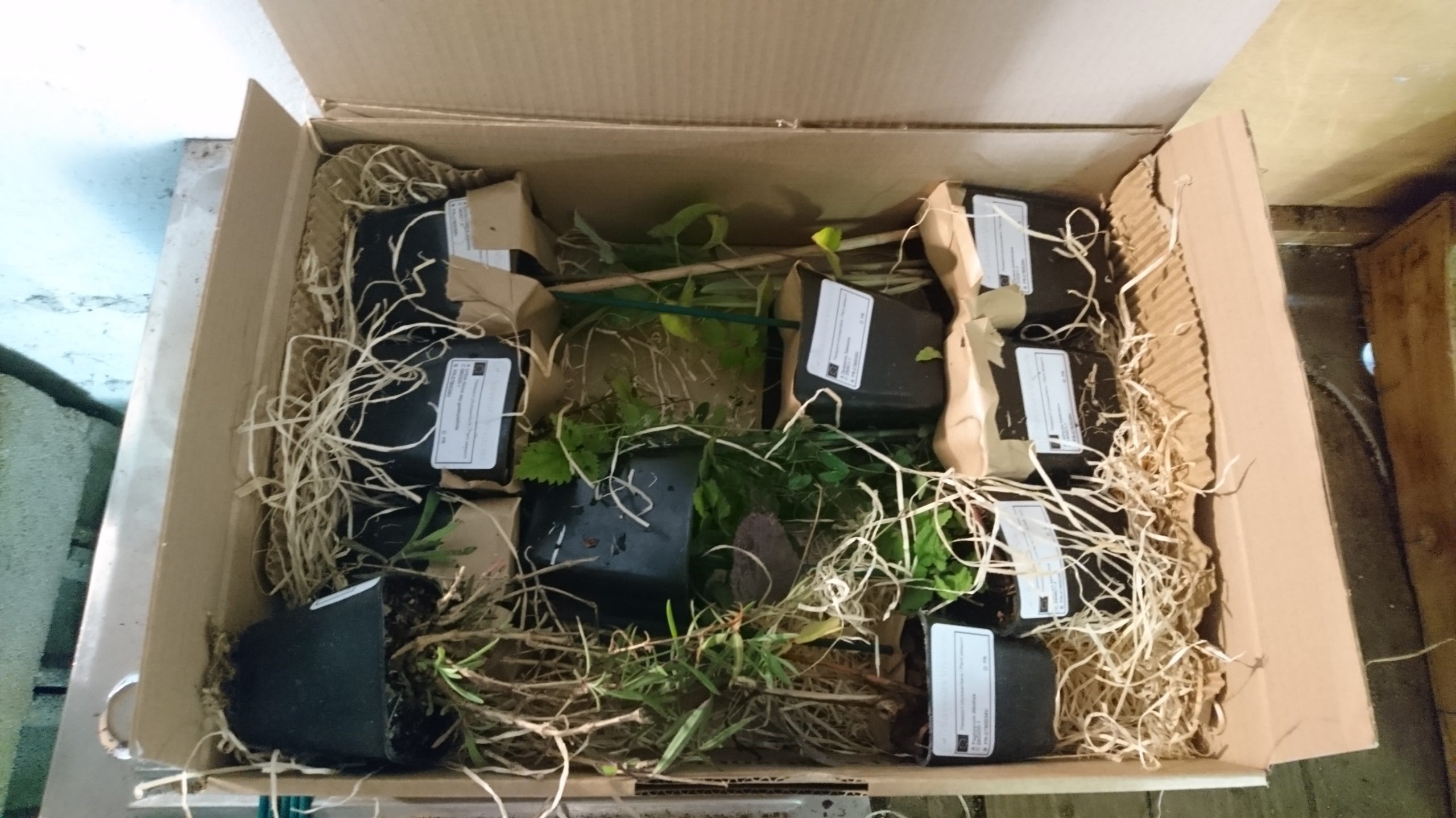 Expédition de plantes