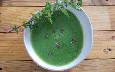 Soupe d’épiaire des bois et d’ortie