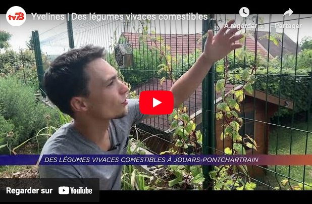 Reportage dans TV78